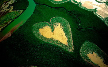 El corazón de Voh