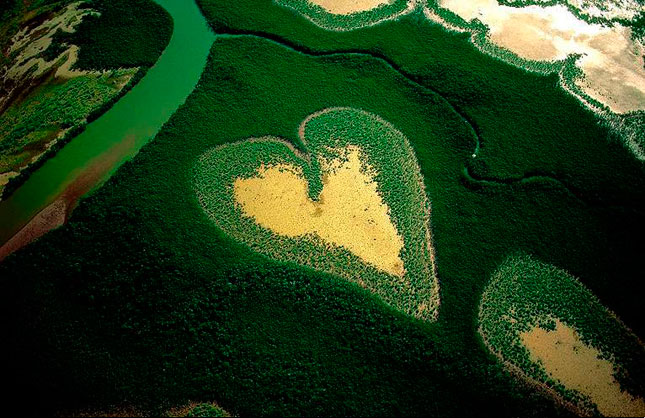 El corazón de Voh