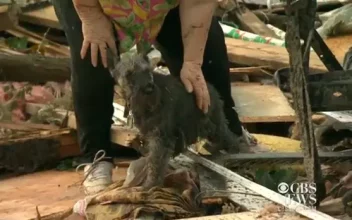 Una anciana de Oklahoma descubre a su perro con vida enterrado entre los escombros