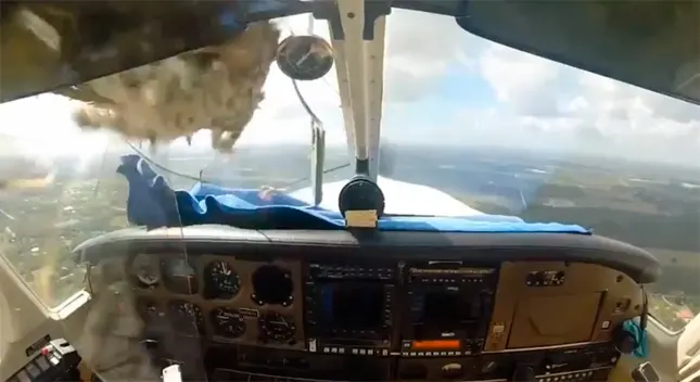 Un pájaro impacta contra la cúpula de una avioneta en pleno vuelo