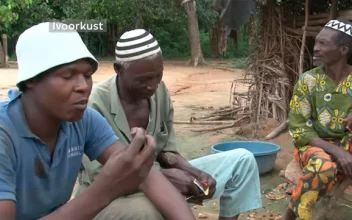 Reacción de unos recolectores de cacao de Costa de Marfil al probar por primera vez el chocolate