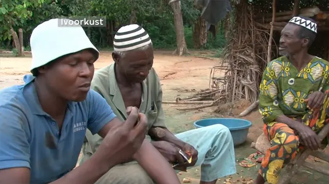 Reacción de unos recolectores de cacao de Costa de Marfil al probar por primera vez el chocolate