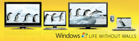 Pingüinos en un anuncio de Windows