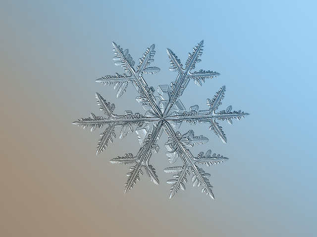Fascinantes macrofotografías de copos de nieve
