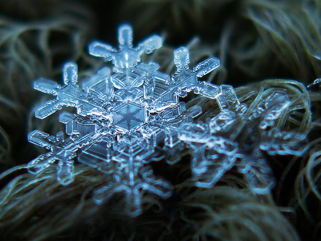 Fascinantes macrofotografías de copos de nieve