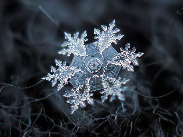 Fascinantes macrofotografías de copos de nieve