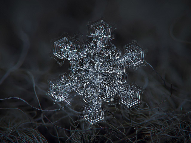 Fascinantes macrofotografías de copos de nieve