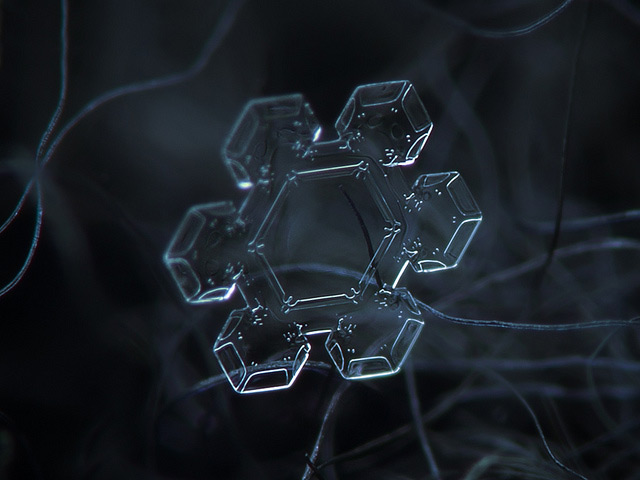 Fascinantes macrofotografías de copos de nieve