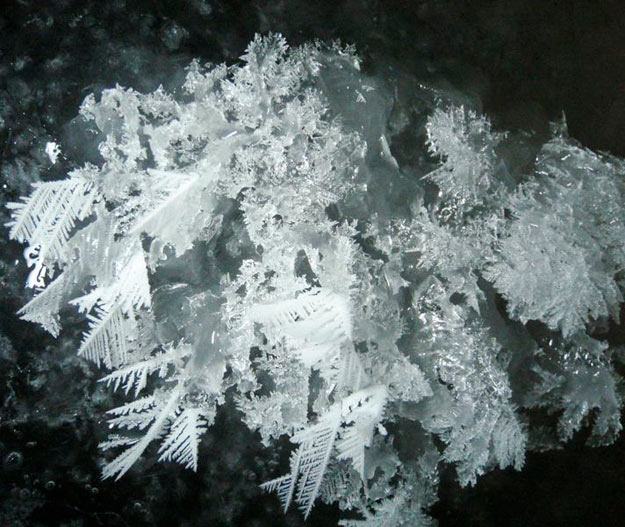 Detalle de una flor de hielo