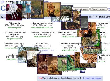 Google Images en movimiento Google Images en movimiento