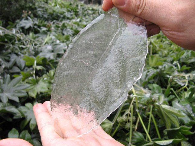 Una hoja de hielo