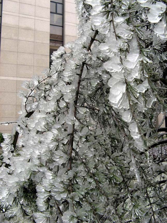 Una hoja de hielo