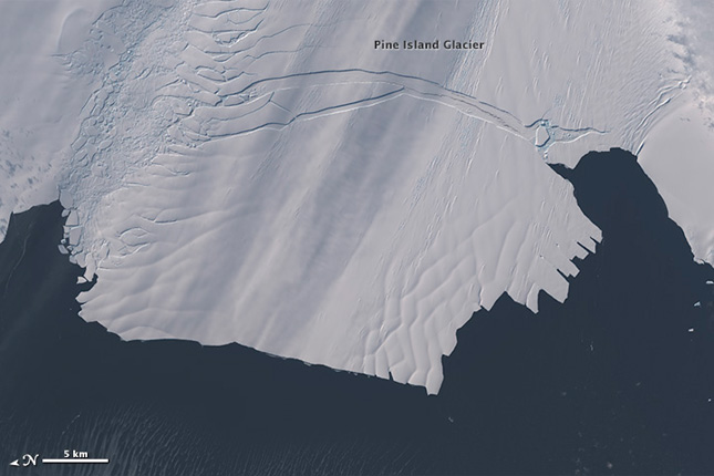 Un iceberg del tamaño de Singapur se desprende de la Antártida