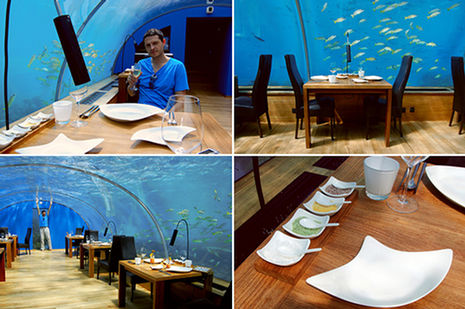 Ithaa, el restaurante submarino Ithaa, el restaurante submarino