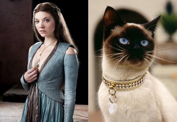 Juego de Gatos - Margaery