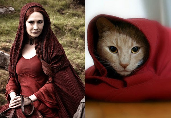 Juego de Gatos - Melisandre