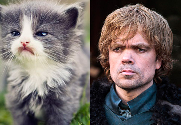 Juego de Gatos - Tyrion