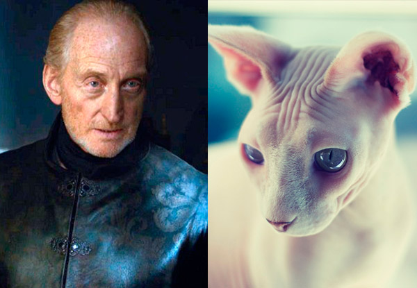 Juego de Gatos - tywin