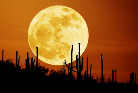 La Luna vista desde la Tierra