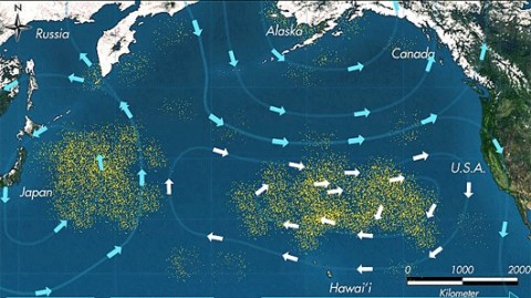 La gran mancha de basura del Océano Pacífico