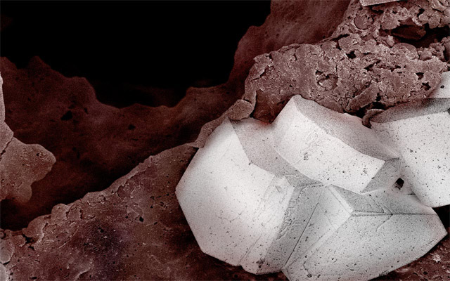 Pastel de chocolate visto con un microscopio electrónico de barrido
