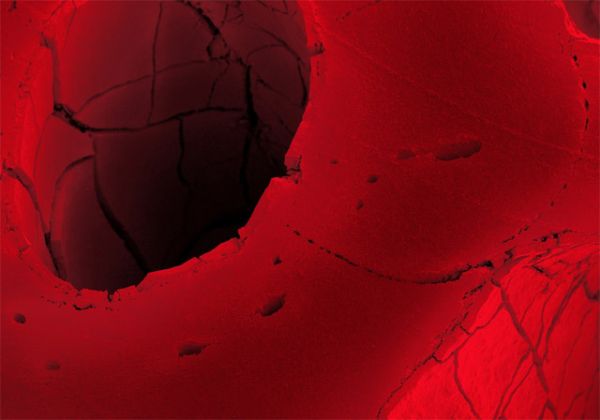 Regaliz rojo visto con un microscopio electrónico de barrido