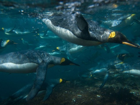 El mundo visto con los ojos del National Geographic