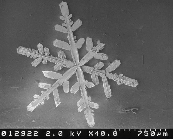 Copos de nieve vistos desde muy, muy cerca