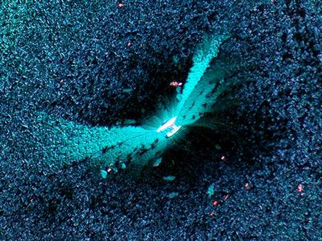 Las mejores imágenes de objetos nanométricos Las mejores imágenes de objetos nanométricos