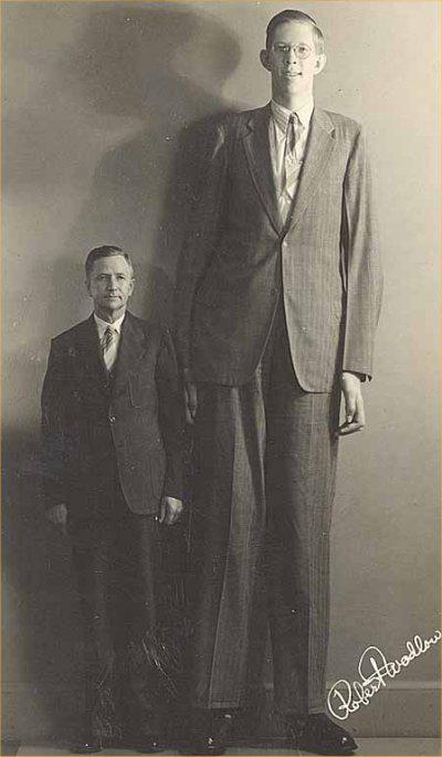 Resultado de imagen de robert wadlow"