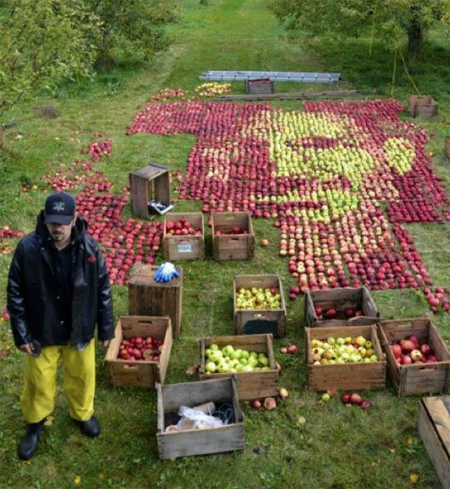 La cara de Steve Jobs recreada con manzanas
