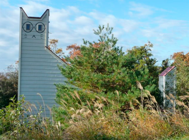 Tashirojima, la isla de los gatos