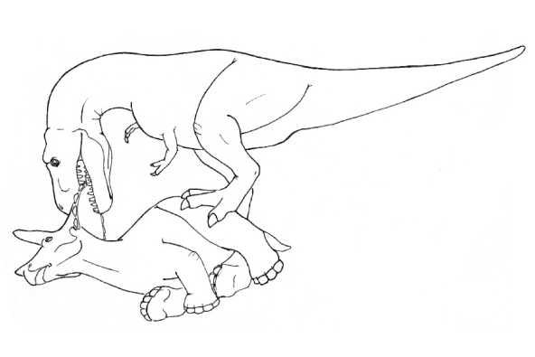 ¿Cómo devoraban los Tiranosaurios Rex a los Triceratops?