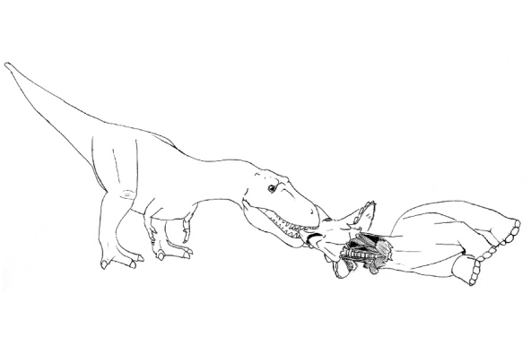 ¿Cómo devoraban los Tiranosaurios Rex a los Triceratops?