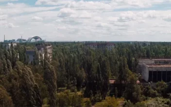 Chernóbil 28 años después
