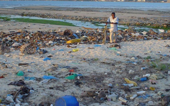 Cada año se abocan entre 4.800 y 12.700 millones de toneladas de plástico a los océanos