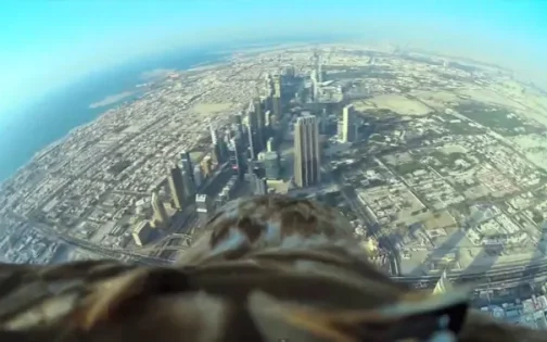 Dubái vista desde la perspectiva de un águila