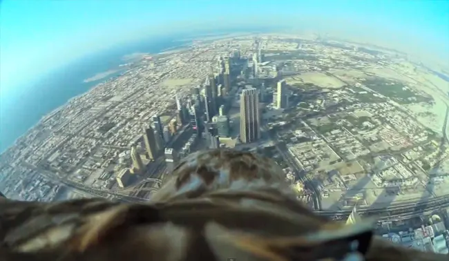 Dubái vista desde la perspectiva de un águila