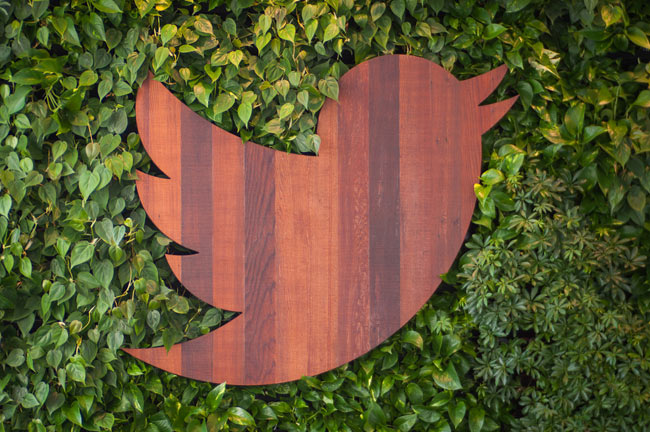 Twitter se plantea introducir vídeos que se reproduzcan automáticamente