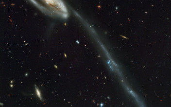 La Galaxia Renacuajo