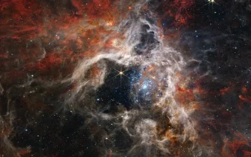 La nebulosa de la Tarántula vista por el telescopio espacial James Webb