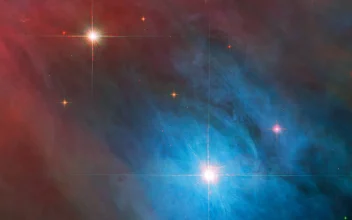 Estrellas variables en la Nebulosa de Orión
