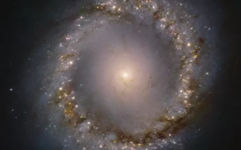 El centro de la galaxia NGC 1097 captado por el Very Large Telescope