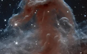 La Nebulosa Cabeza de Caballo