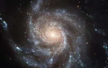 La gigantesca galaxia espiral del Molinete