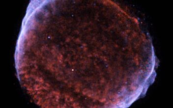 La supernova SN 1006, el evento estelar más brillante jamás registrado