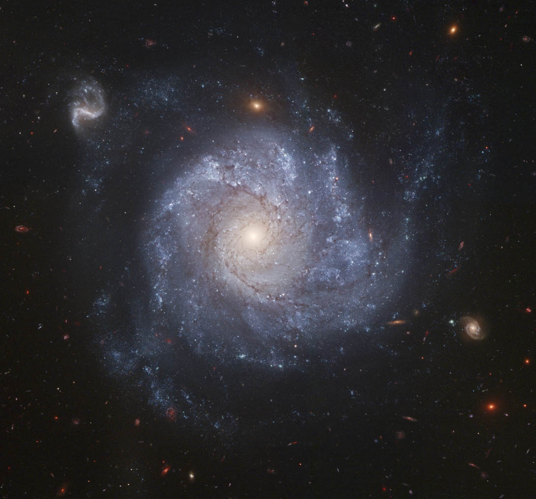 La galaxia NGC 1309