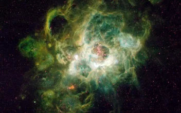 La gigantesca nebulosa NGC 604