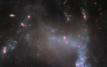 La galaxia Araña vista por el telescopio espacial Hubble