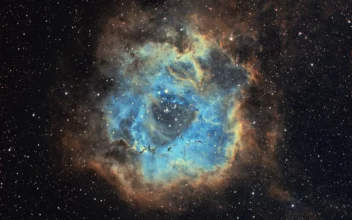 La nebulosa Roseta